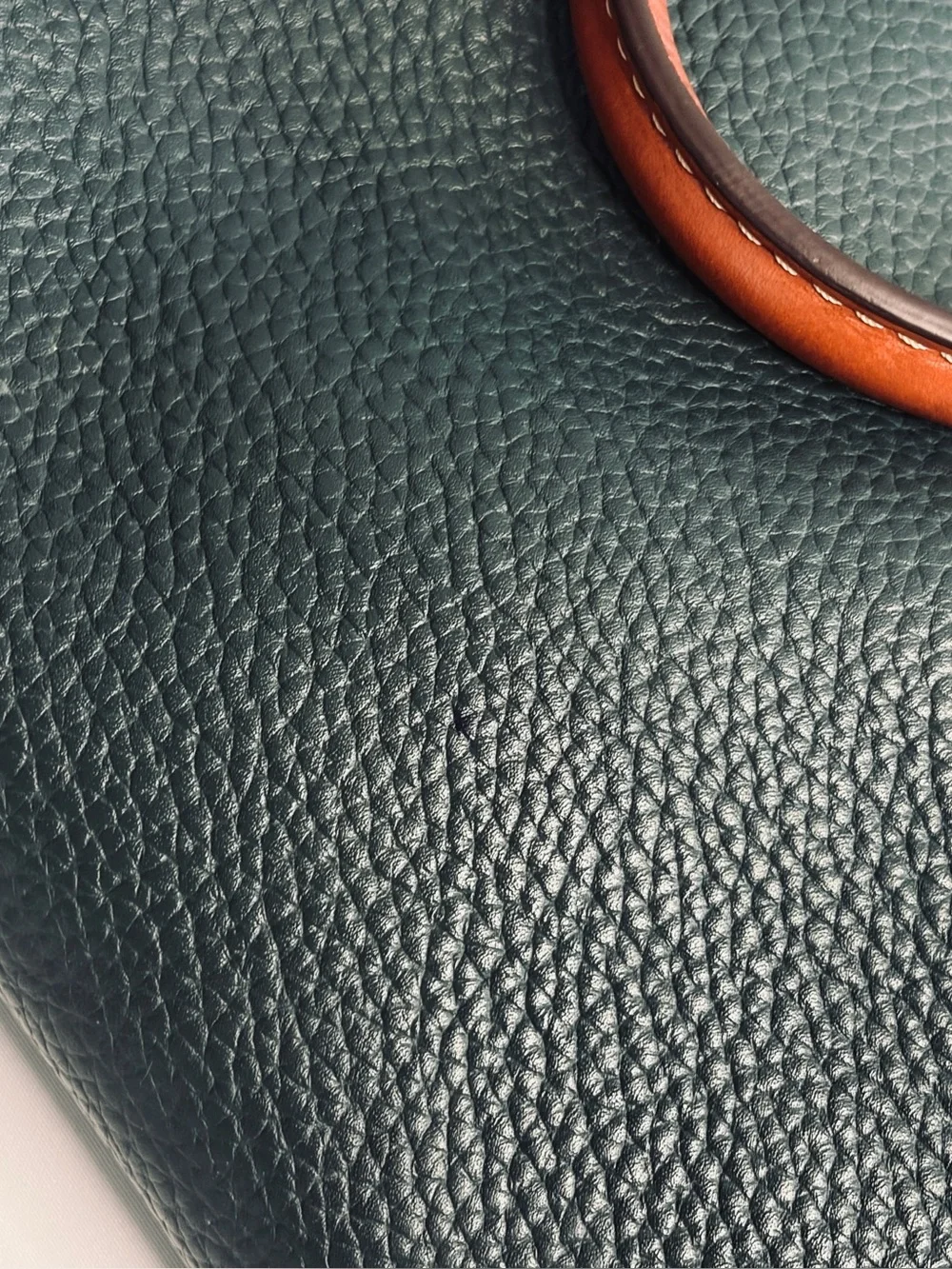 Dooney & Bourke Dillen Green Pebbled Leather Satchel with Brown Trim